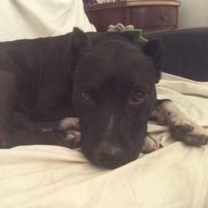 Meet your Posher, Denise